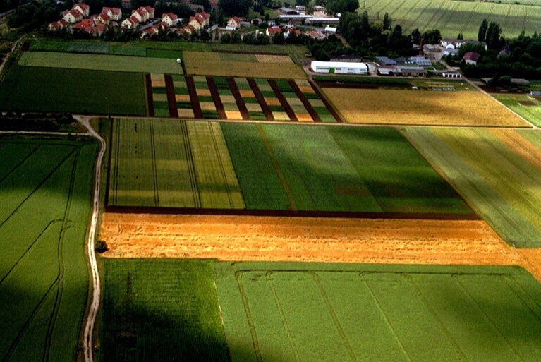 Versuchswirtschaft Bad Lauchtädt