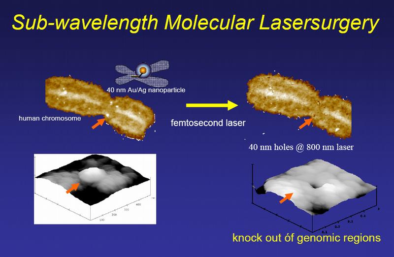 Optical knock-out: Nano-Bohrung in ein einzelnes Chromosom.