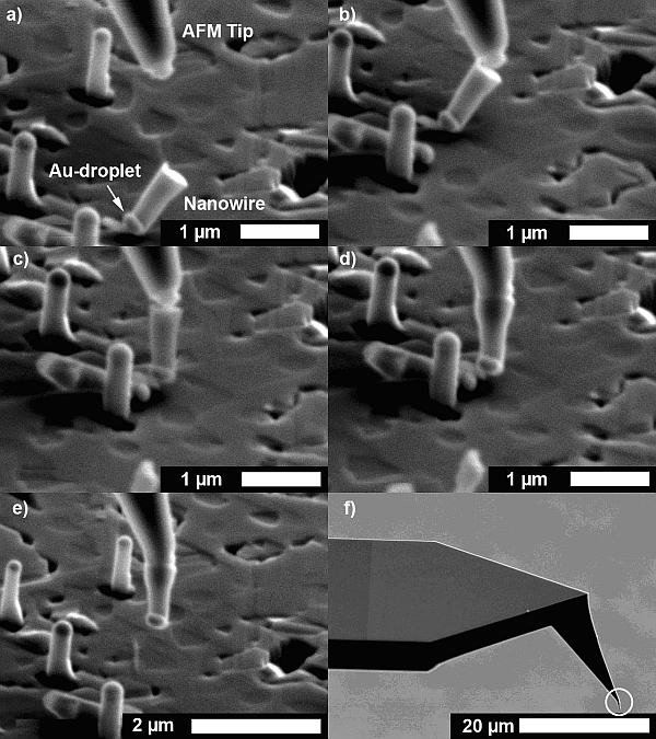 Manipulationssequenz für das Verschweissen eines Nanodrahtes zur Raman-Spektroskopie, überwacht im Elektronenmikroskop: a) ein Nanodraht wird vom Siliziumrasen gebrochen und auf den Goldkopf gekippt; b) die noch unverfeinerte Spitze des Spektroskops kommt in Kontakt mit dem Nanodraht; c) die Spitze bringt den Nanodraht senkrecht in Position; d) Spitze und Nanodraht werden per Elektronenstrahl miteinander verschweisst; e) die verfeinerte Nanospitze wird aus dem Mikroskop entfernt; f) Halter mit feiner Spitze fertig für den Einsatz bei der Raman-Spektroskopie.