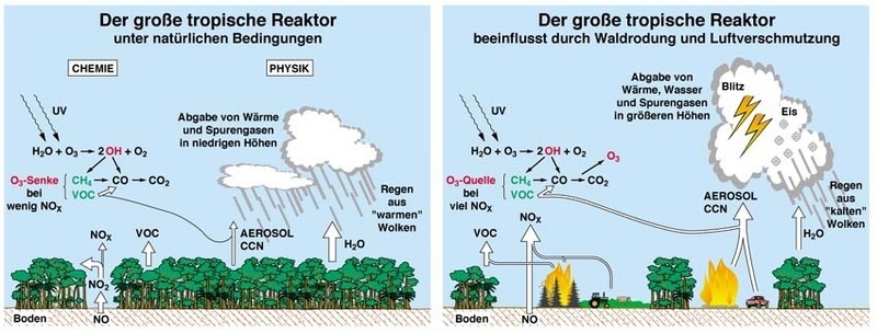 Schematische Darstellung der Wechselwirkung zwischen Biosphäre und Atmosphäre über den Tropen unter natürlichen Bedingungen (links) und als Folge von Waldrodung und Luftverschmutzung (rechts).