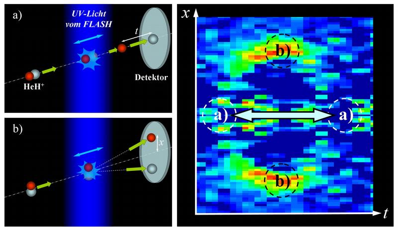 Abbildung 1.  Links: Aufbruch der chemischen Bindung des Molekülions HeH+ durch hartes UV-Licht bei 32 nm Wellenlänge parallel (a) und senkrecht (b) zur Polarisationsrichtung der Photonen (blauer Doppelpfeil). Rechts: Flugzeiten und Orte der nachgewiesenen Fragmente. Die Farbskala (von blau nach rot) gibt die Häufigkeit der Ereignisse an. Es wird vorzugsweise ein Aufbruch des Moleküls senkrecht zur Polarisation (Doppelpfeil) beobachtet. Die Ereignisse formen einen Ring, dessen Radius Auskunft über die Energiebilanz der Reaktion liefert. 