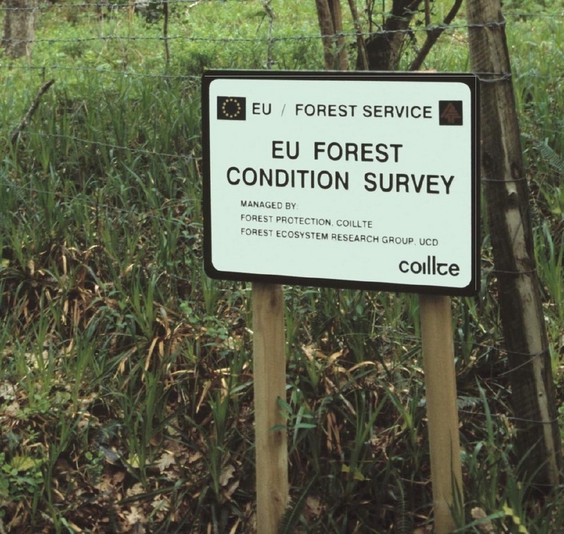 "Brack loon" an der Westküste Irlands: Eine Intensiv-Untersuchungsfläche des ICP-Forests-Programms
