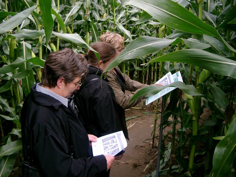 Zur Orientierung erhält jeder Labyrinth-Besucher einen Wegeplan. Auf lnfotafeln im Labyrinth werden Forschungsprojekte aus der ForschungRegion Braunschweig vorgestellt.