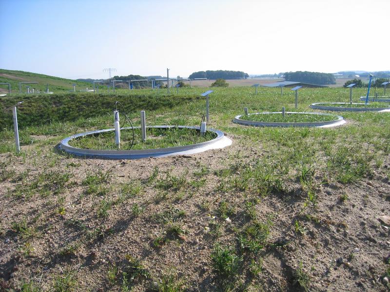 Blick auf die Großlysimeter-Versuchsanlage