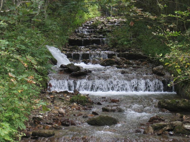 Sauberes Wasser ist eine der am stärksten durch Nährstoffverluste aus der Landwirtschaft gefährdeten natürlichen Ressourcen.