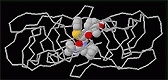 Das Enzym HIV-Protease mit Inhibitor.