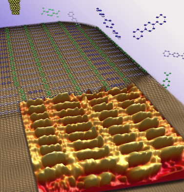 Schnappschuss der Evolution: Die mit modernster Tunnelmikroskopie erstellte Aufnahme zeigt die Selbstorganisation von nanometergroßen, molekularen Komponenten auf einer Kupferoberfläche - einmal als Simulation (im Hintergrund), einmal als experimentelles Abbild der Moleküle selbst (im Vordergrund). Deutlich erkennbar ist die größenabhängige Anordnung zweier Molekülarten (dunkel- und hellblau) in leiterartigen Teilstrukturen. Der Abstand zwischen den molekularen "Sprossen" beträgt ca.1 Nanometer (1 Milliardstel Meter). 