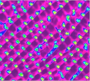 Spontane Musterbildung in dem nichtlinearen optischen Kristall Strontiumniobat. Der Kristall wurde mit räumlich inkohärentem Licht bestrahlt.  [aus D. Kip et al., Science 290, 495 (2000)]
