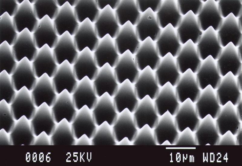 © Fraunhofer ISE. Oberfläche mit selbstreinigender Wirkung unter dem Rasterelektronenmikroskop.