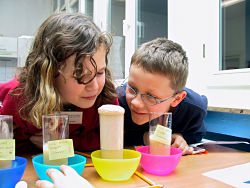 "Kinderforscher" bei einem Experiment