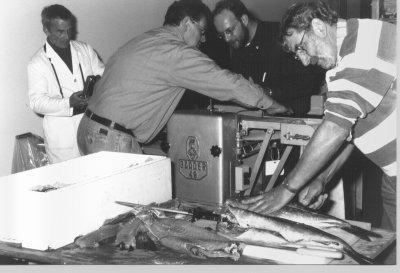 Leichter Fischgeruch im Deutschen Schiffahrtsmuseum: Karl-Heinz Schäfer filetiert frischen Seelachs, der nun in Detmold konserviert wird.