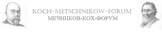 Logo des Koch-Metschnikow-Forums