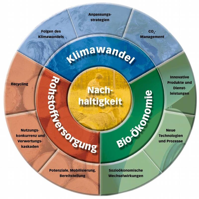Grafische Übersicht der Deutschen Forschungsagenda ForstHolzPapier