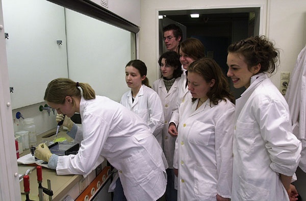 Schülerversuch im Gentechnik-Labor des Forschungszentrums Karlsruhe: Die Polymerasen-Kettenreaktion dient der schnellen Vermehrung von Spuren genetischen Materials.