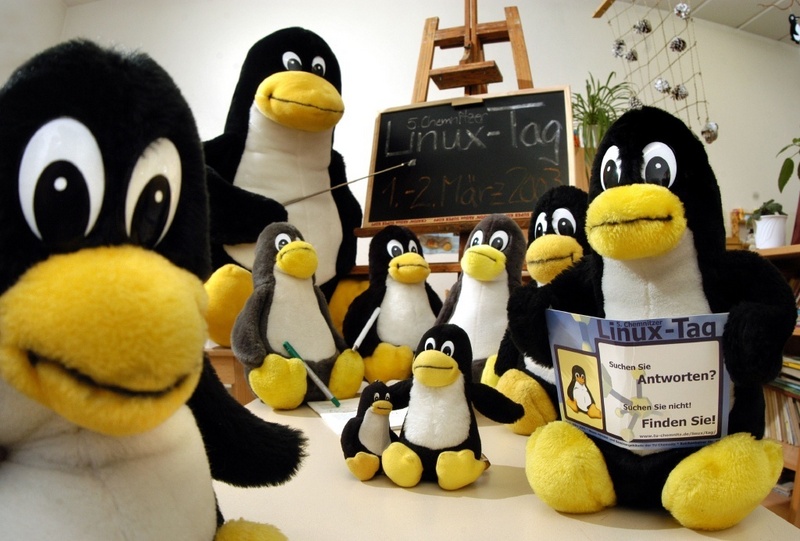 Der 5. Chemnitzer Linux-Tag ist ein beliebter Treff der Linux-Pinguine. Die 1996 in der Firma FreibergNet "geborenen" Plüschtiere gelten als Maskottchen des freien Betriebssystems. Foto: TU Chemnitz/Uwe Meinhold