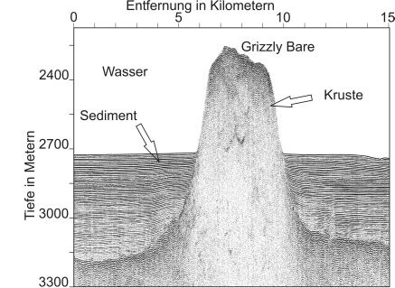 Der "Grizzly-Bare" im Schallwellenbild der Bremer Geophysiker. Er überragt den Meeresboden um gut 300 Meter.