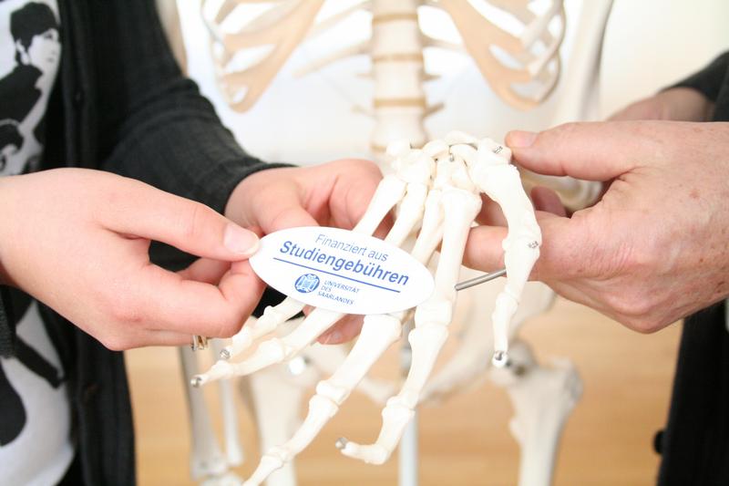 Universitätspräsident Volker Linneweber und AStA-Vorsitzende Estelle Klein kennzeichnen ein mit Studiengebühren angeschafftes Plastik-Skelett aus der Medizinischen Fakultät.