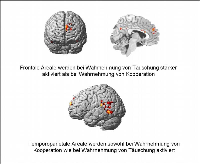 Wahrnehmung von Täuschung