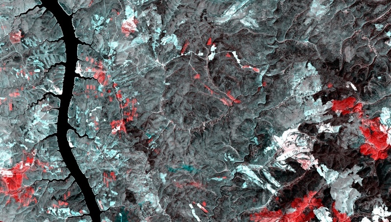 Multitemporales Zweifarbenkomposit Sibiriens (südlich von Shestakovo) aus optischen Daten von zwei Erdbeobachtungssatelliten: Rote Flächen zeigen Gebiete mit Abholzung bzw. Waldvernichtung durch Waldbrand. (Foto: FSU/Hese)