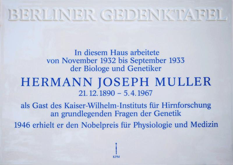 "Berlin Memorial Plaque" for American Geneticist Hermann Joseph Muller 