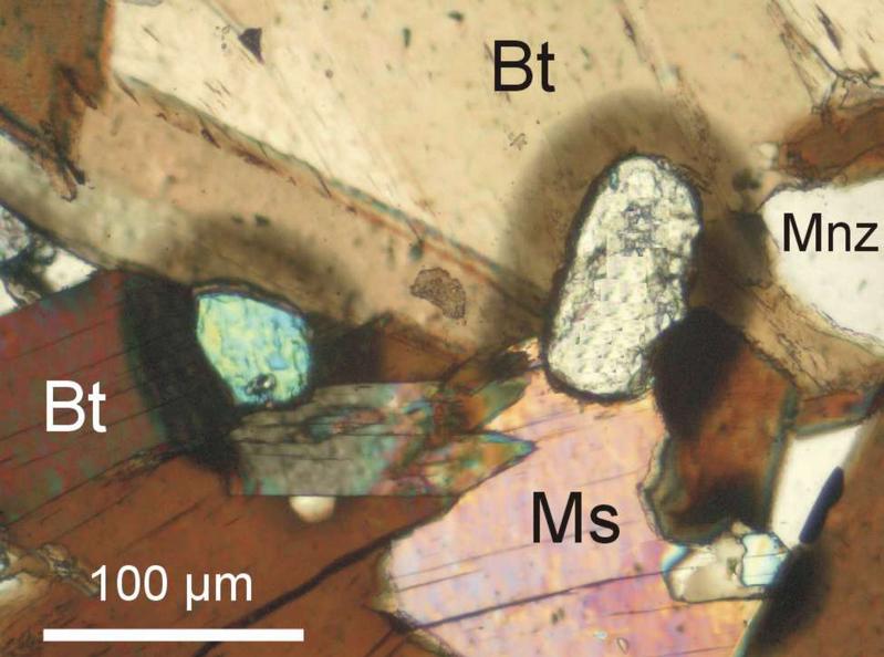 Aufnahme von Monazit-Kristallen (Mnz) in Granit-Gneis-Gestein mit dem Polarisationsmikroskop. Die von Uran und Thorium ausgehende Strahlung hat im umgebenden  Glimmer (Bt, Ms) Defekte des Kristallgitters erzeugt, die als dunkle Säume sichtbar sind.