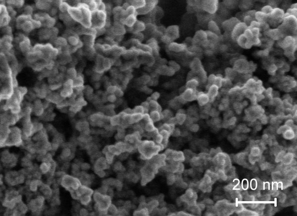 Rasterelektronenmikroskop-Aufnahme der Oberflächenstruktur von nanoporösem Platin aus dem Institut für Nanotechnologie des Forschungszentrums Karlsruhe.