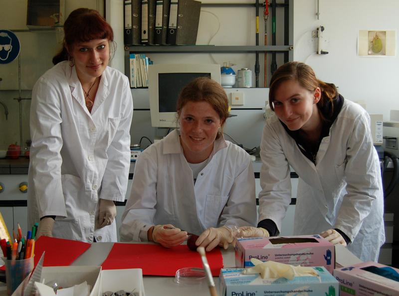 Bevor die Wachsschicht analysiert werden kann, muss sie von der Oberfläche der Pflaume abgelöst werden. Die beiden Lehramtsstudentinnen Caroline Schöner (links) und Linda Markert (rechts) zeigen Michaela Pickel (Mitte) vom Schönborn-Gymnasium in Münnerstadt, wie's mit dem Klebstoff Gummi arabicum geht. Foto: Margarete Pauli