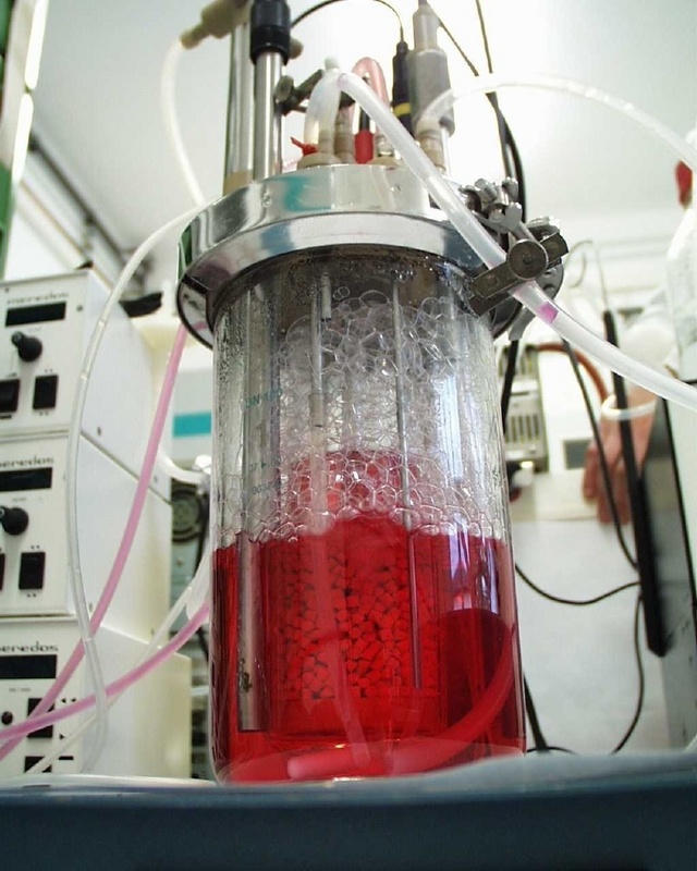 Ein Festbettreaktor im Labor für Bioverfahrenstechnik der FH.
