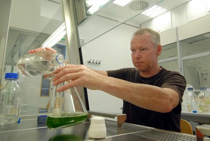 Prof. Dr. Michael Hippler gießt frisches Nährmedium in einen Anzuchtkolben mit Grünalgen.