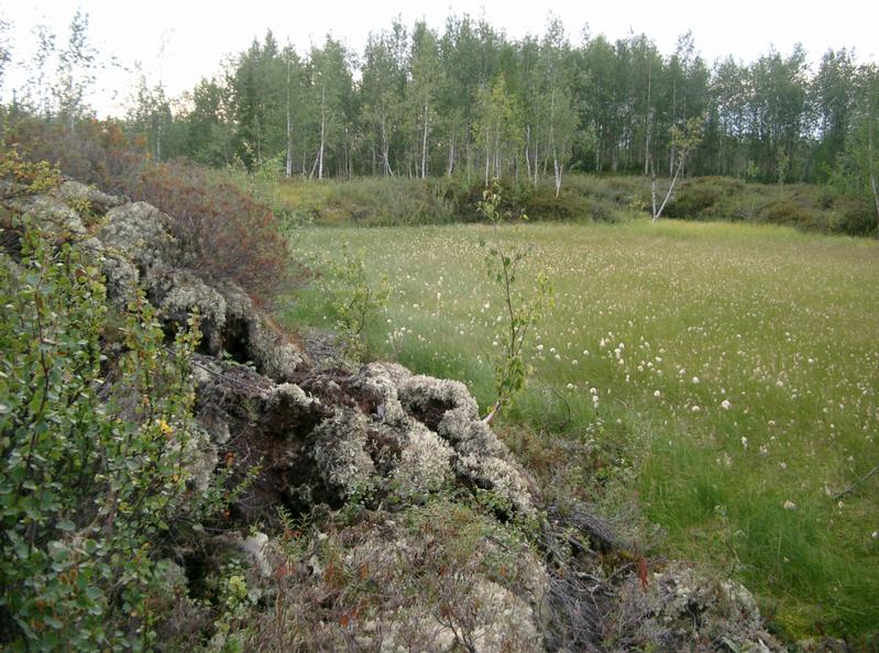 Landschaft in den Permafrostgebieten Nordsibiriens am Unterlauf des Jenissej