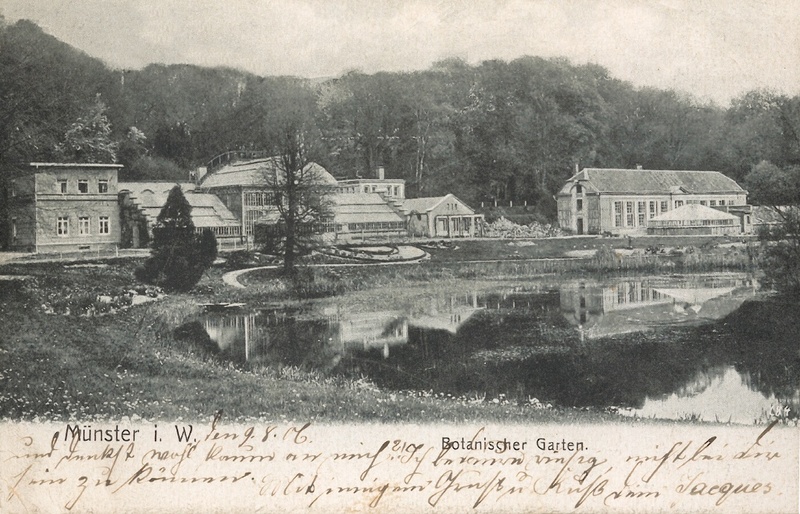Historische Aufnahme des Botanischen Gartens Münster aus dem Jahr 1906