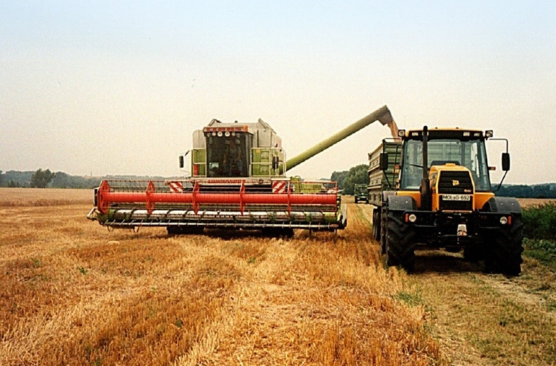 Nach der Ernte muss Getreide häufig energieaufwändig getrocknet werden, damit es bei der Lagerung nicht zu Qualitätseinbußen kommt.