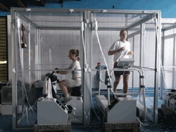 Die neue Hypoxiekammer des Instituts für Trainings- und Bewegungslehre.