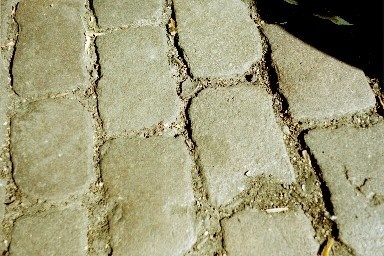 Berlins Straßen und Trottoirs stehen jetzt im Mittelpunkt des wissenschaftlichen Interesses.TU-Forscher untersuchen nun die Eigenschaften des oftmals schwarzen Ritzendrecks.