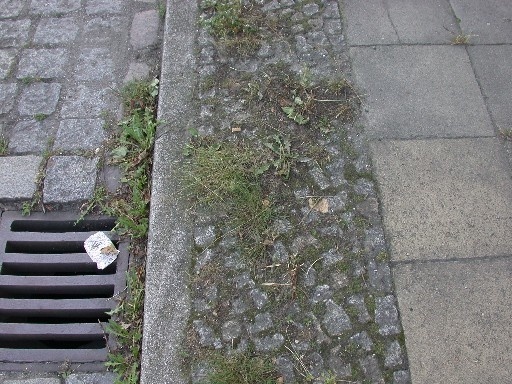 Für Siedlungs- und Verkehrsflächen wurden in Deutschland natürliche Böden größer als die Fläche Baden-Württembergs bebaut, zubetoniert und asphaltiert; man spricht von Versiegelung. Was übrig bleibt vom Boden sind oft nur Fugen. Fotos: TU/Nehls