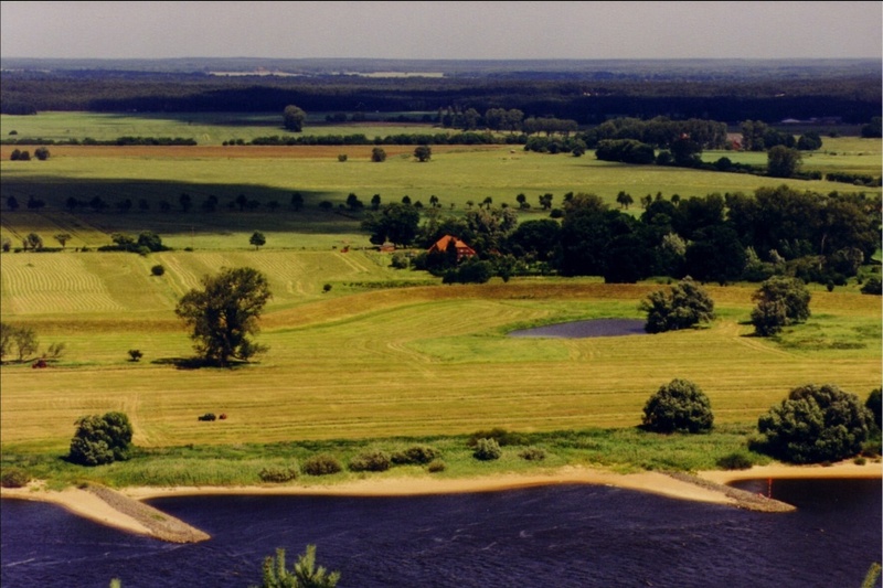 Typischer Ausschnitt einer Aue im Amt Neuhaus: Im Vordergrund die Buhnen, dann ein schmaler Weichholzauenstreifen und schließlich bis zum Deich die landwirtschaftlich genutzte Aue.