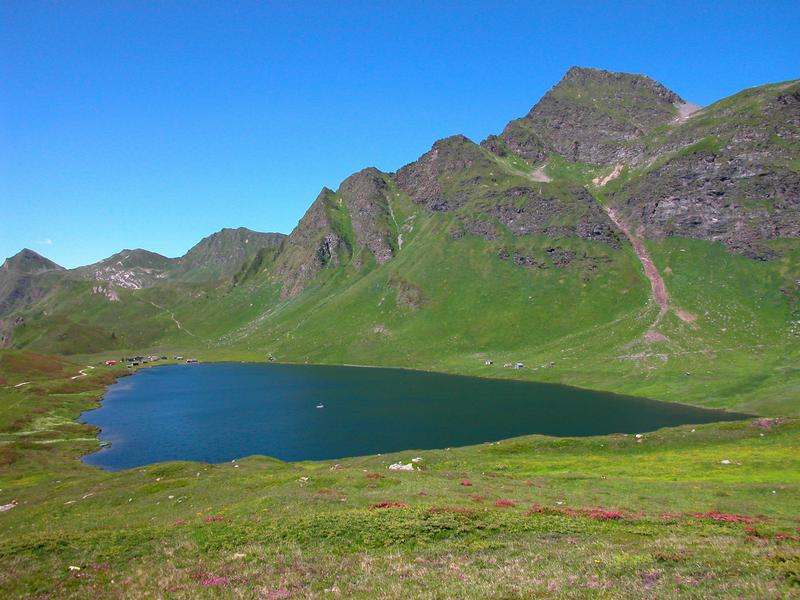 Der Lago di Cadagno in den südlichen Schweizer Alpen ist eine Besonderheit: Er ist geschichtet, weil salzhaltige Quellen in der Tiefe eine Durchmischung verhindern. In den  oberen 11 Metern ist Sauerstoff vorhanden und der Nährstoffgehalt (Phosphat und Ammonium) niedrig. Die untere Schicht ist angereichert mit diesen Nährstoffen. Es bildet sich eine stabile Zwischenschicht mit steilen Konzentrationsverläufen an Sauerstoff, Sulfat und Sulfid heraus. Hier nutzen die drei untersuchten Mikrobenarten die Lichtenergie, um Sulfid zu oxidieren.