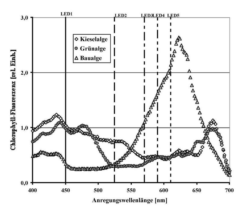 Fluoreszenzspektren von drei Algen
