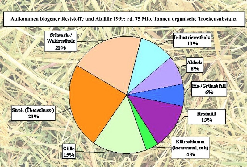 Die Power vom Lande - biogene Reststoffe und Abfälle im Überblick (relativer Aufkommensanteil in Deutschland 1999).