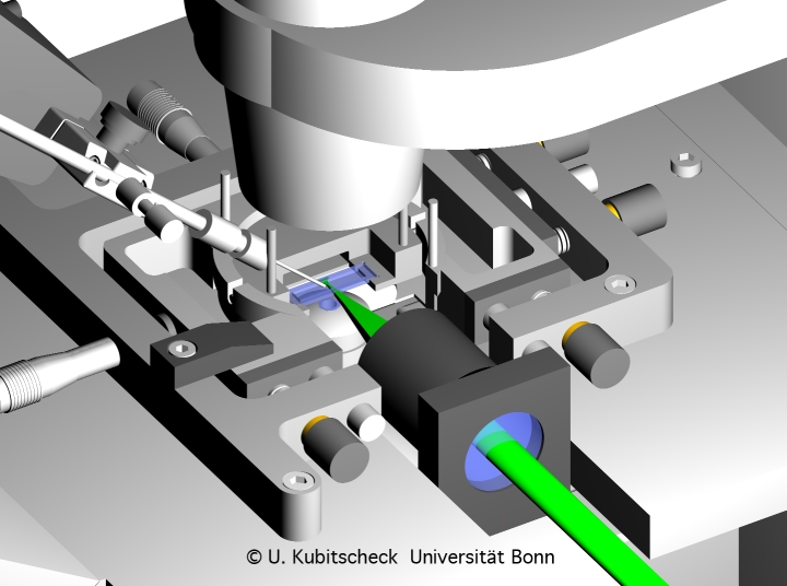 Realisierung der Lichtscheibenbeleuchtung an einem kommerziellen inversen Mikroskop