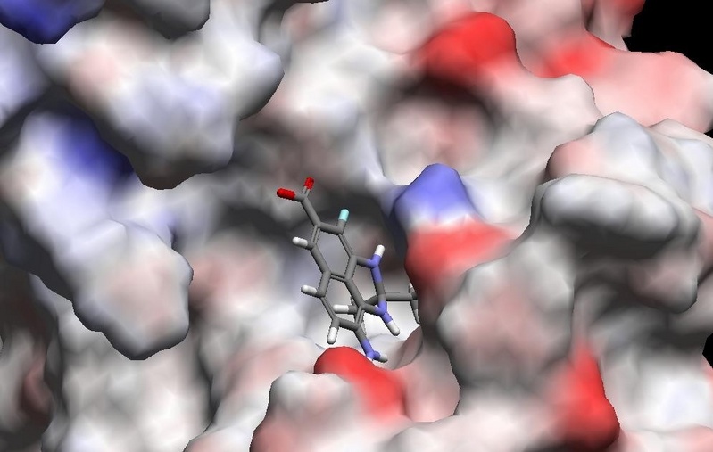 Ein kleines Molekül dockt an eine Proteinoberfläche an. Die Computersimulation zeigt das Protein beta-Catenin.