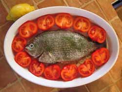 Fische und Tomaten ergänzen sich nicht nur auf dem Teller gut, sondern auch schon in der Zucht.