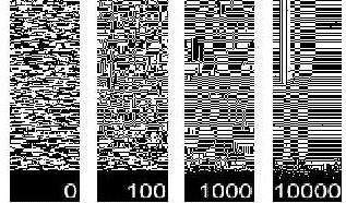 Numerische Simulation der Ordnung durch Bestrahlung eines Eisen-Palladium (FePd) Legierungsfilms zwischen zwei Schichten von Pd.
