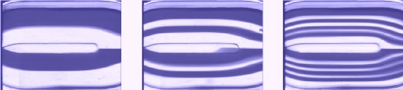 [jpg, 60 kb] Hochsymmetrische Multilamellen-Anordnung in der neuen Version des Raupenmikromischers CPMM-V2. Die blaugefärbten und transparenten Lamellen sind als parallel fließende Ströme einer Glycerin/Wasser-Lösung sichtbar.