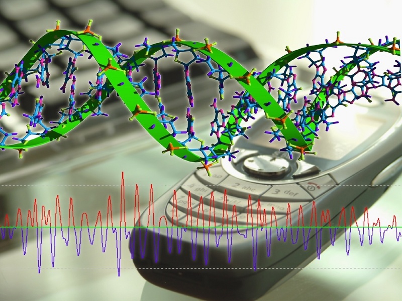 Aufschlussreiche Signale: Die Information, die sich in den Genen verbirgt, lässt sich - so hoffen Forscher - besser verstehen, wenn man die Abfolge der DNA-Bausteine in eine Wellenfunktion übersetzt. Bildcollage: GBF / Holger Klimek