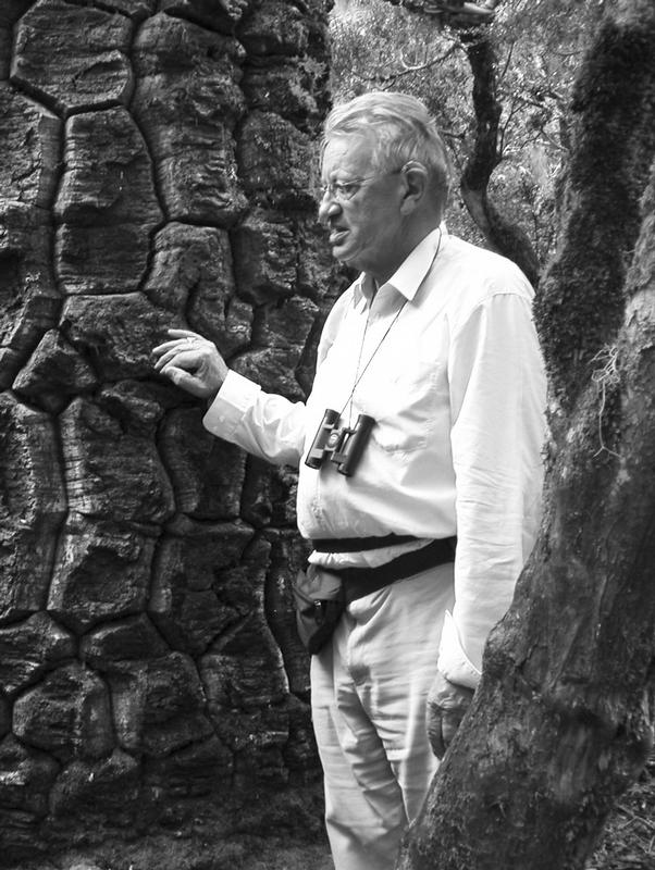 Prof. Focko Weberling