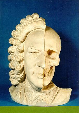 Die rekonstruierte Bach-Büste
