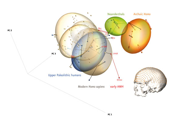 Grafik (Bildbeschreibung siehe Textende)