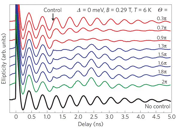 Die Diagramme zeigen das "Torkeln" der Spins (Amplitude der Schwingung, nach oben aufgetragen) nach einem Ausrichtungs-Laserpuls in Abhängigkeit der Zeit. Eine Schwingungsperiode entspricht einem vollen "Torkel"-Umlauf. Wie zu erwarten, nimmt die Stärke (Amplitude) mit der Zeit bei allen roten Kurven ab. Nach 1,2 Nanosekunden (ns) wird ein Laser-Kontrollpuls eingestrahlt, der die Ausrichtung der Spins schlagartig verändert, was man an der Phase der blauen und schließlich grünen Kurve sehen kann: Sie ist genau in Gegenphase zur schwarzen unteren Kurve, die ohne Kontrollpuls aufgenommen wurde. Zusätzlich schaukelt sich dieses Torkeln in Gegenphase bei 2,4 ns auf, sodass das Signal dann besonders groß wird, was die Auslesung erheblich erleichtert.