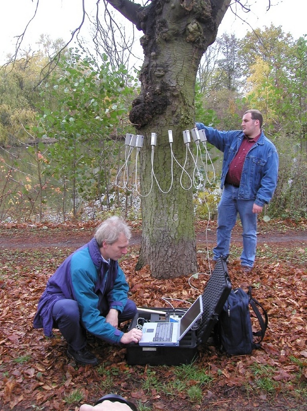 Diplom-Informatiker Andreas Kraft (hinten) bereitet gemeinsam mit Prof. Klaus Wüst die tomografische Untersuchung einer Kastanie vor.